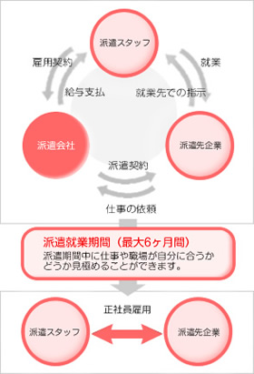 紹介予定派遣のしくみ